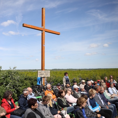 Größeres Bild ansehen